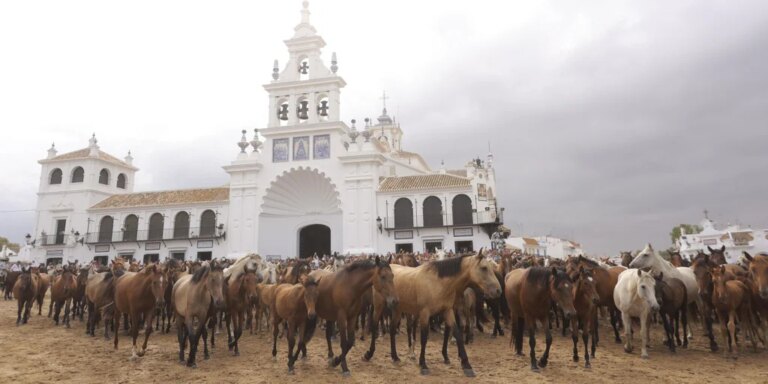 Almonte vive su día grande con la tradicional Saca de las Yeguas