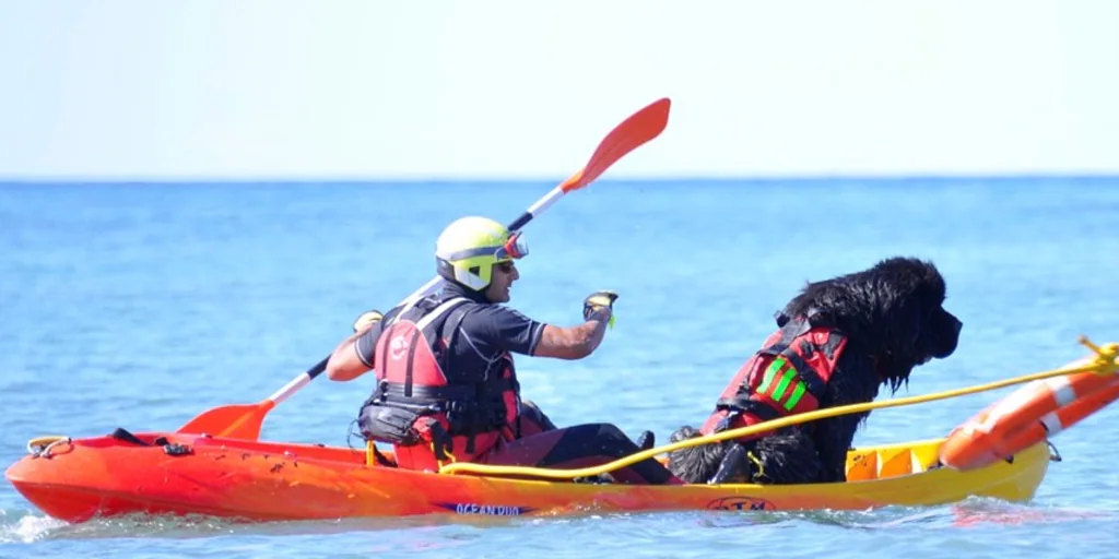 'La patrulla canina' trabaja en las playas de Vélez-Málaga