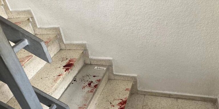 el presunto asesino declara ante el juez que lanzó el cuchillo hacia arriba para defenderse