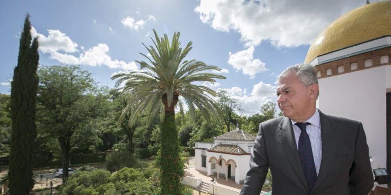 José Luis Sanz: «Tendremos que trabajar en algún protocolo que regule la cantidad de procesiones»