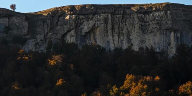 Hallan muertos a un padre y su hijo de 7 años desaparecidos en Navarra
