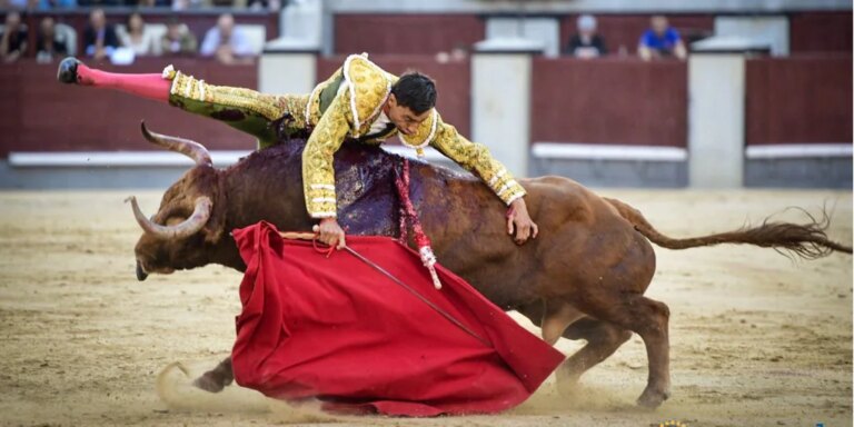 Oda al valor de Paco Ureña