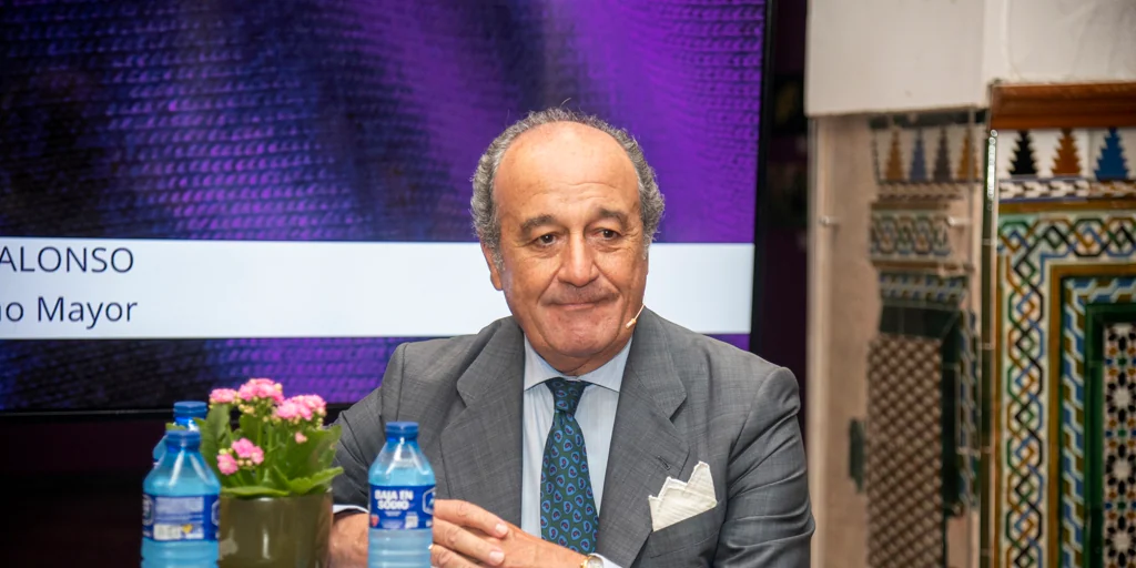 «El principal proyecto que traemos es la unidad de la hermandad»