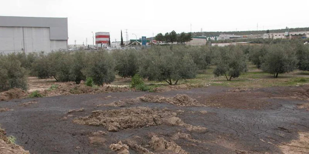 La Fiscalía retira la acusación contra los trabajadores de El Tejar por delito ambiental