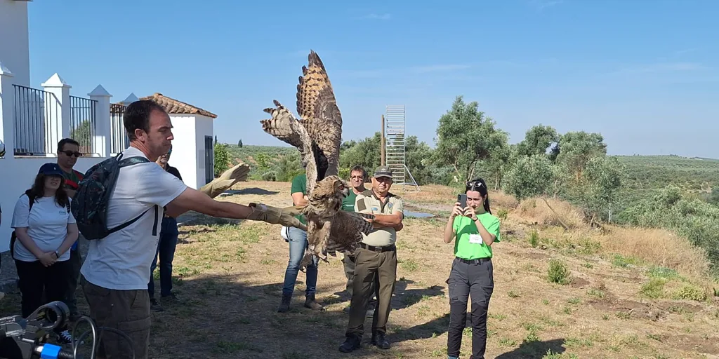 Suelta de aves en la laguna de Zóñar, uno de los humedales más hermosos de Córdoba