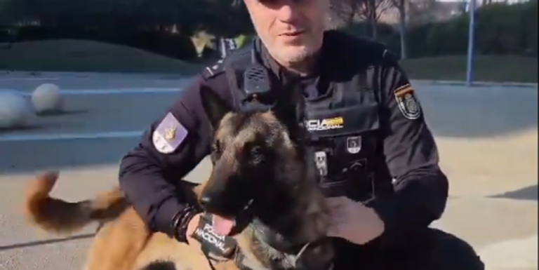 Prisión provisional para un hombre por robar un perro de la Policía Nacional y quitarle el chip en Zaragoza