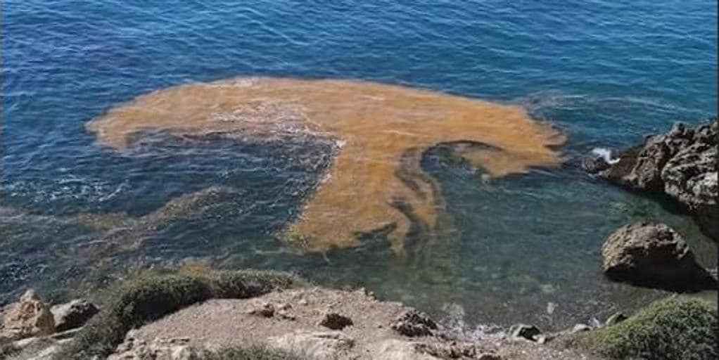 ¿Qué son las manchas rojas que aparecen en la orilla de las playas de Cádiz, Málaga o Granada?