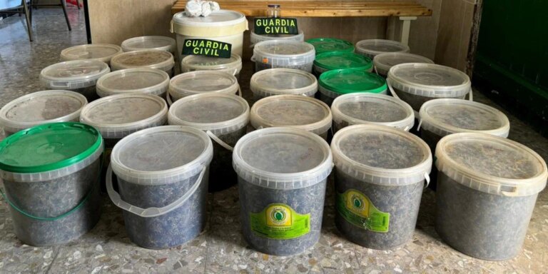 La maniobra errática de un conductor destapa un importante punto de tráfico de marihuana en Castellón
