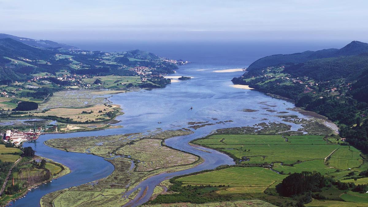 Reserva de la Biosfera de Urdabai.