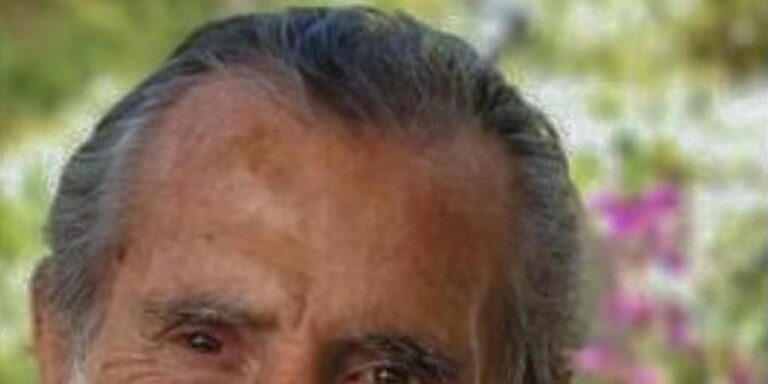 Muere Francisco Salas Trujillo, el creador del Plan Infoca
