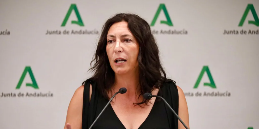 Andalucía estalla y advierte al Gobierno de que no acogerá a más menores migrantes sin financiación