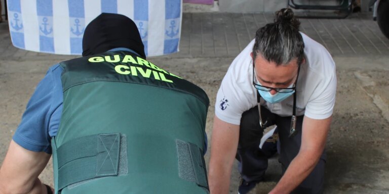 Retiran dos monos de Gibraltar con enfermedades en una vivienda de Granada
