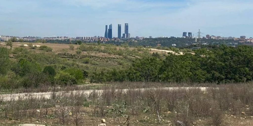 El estudio de arquitectos Martín Caballero gana el concurso para construir el Palacio de Congresos de Pozuelo