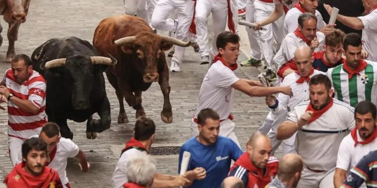 ganadería y última hora en Pamplona hoy