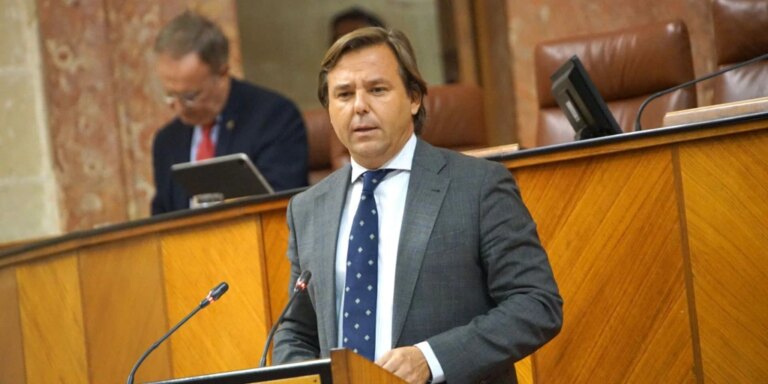 El PP-A saca adelante en solitario, con un tibio apoyo de Vox, su proposición no de ley contra la corrupción de los ERE