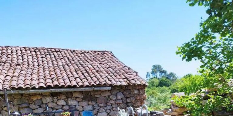 Una pareja de turistas se marcha de una casa rural en Galicia por el canto de un gallo: «No nos dejó dormir»