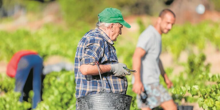 Los trabajadores mayores de 55 años se duplican en las últimas dos décadas