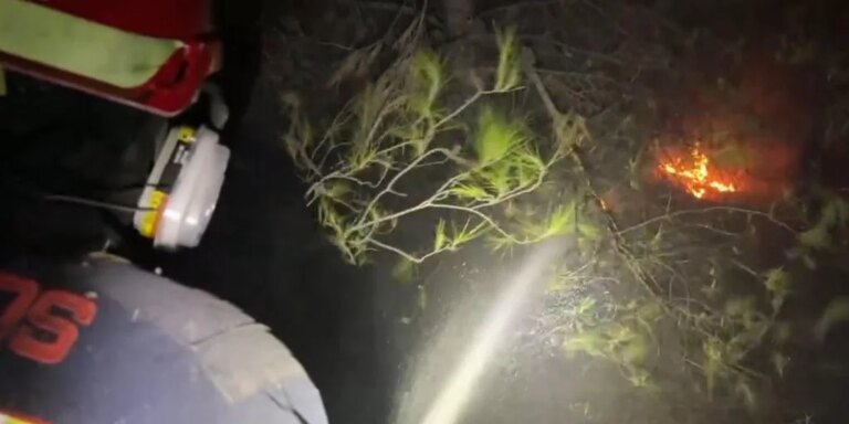 Un incendio forestal obliga a desalojar viviendas y confinar a vecinos en Rivas-Vaciamadrid
