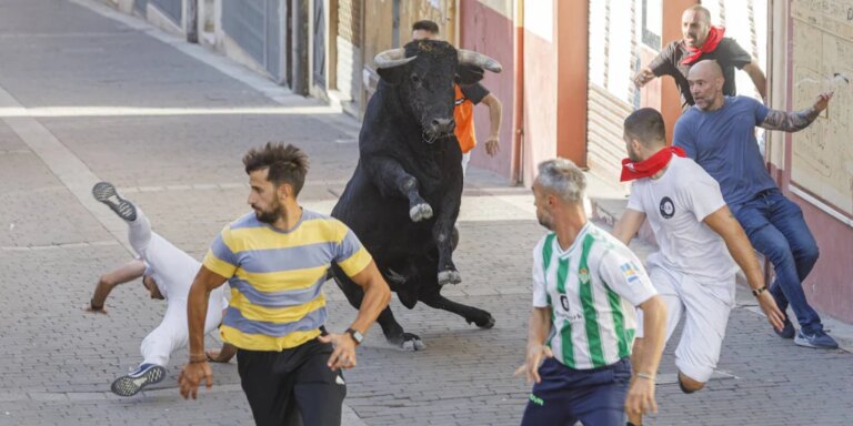 Un herido por asta de toro durante el tercer encierro de Cuéllar (Segovia)