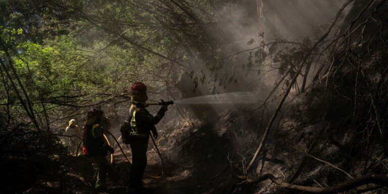 Remite la ola de calor con la mitad de Galicia en 'alerta alta' por riesgo de incendios