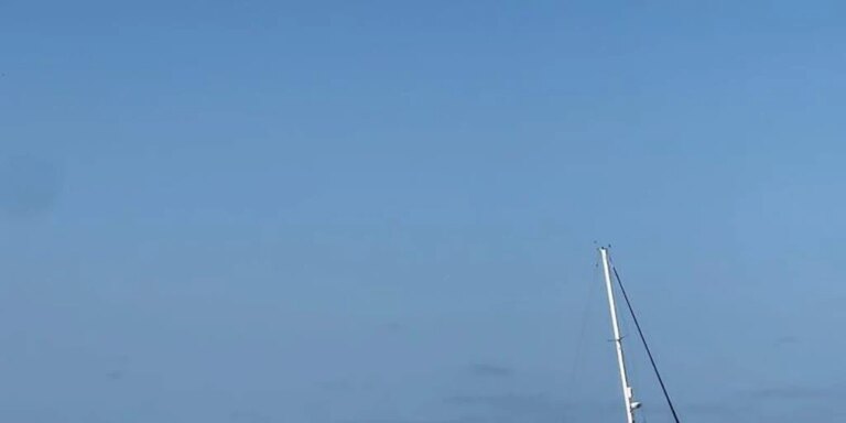 Un velero pide ayuda tras toparse con unas orcas cerca de la costa gallega
