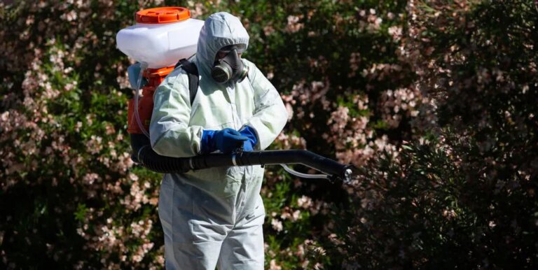 Salud detecta la presencia del Virus del Nilo en Montalbán y Puente Genil