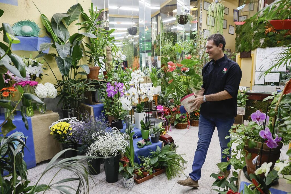 Guarderías para plantas: lo último en botánica para urbanitas, abierto por vacaciones