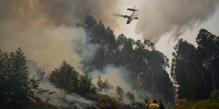 El incendio que afecta a Orense y Pontevedra supera las 300 hectreas, el peor desde el comienzo del verano en Galicia