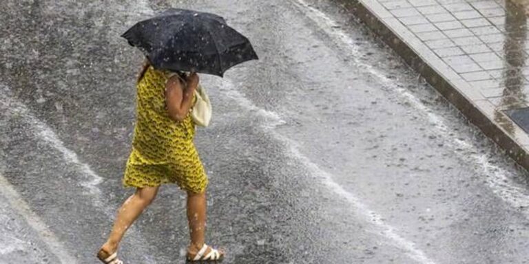 Una impresionante tormenta derriba árboles y deja varias calles anegadas en Burgos