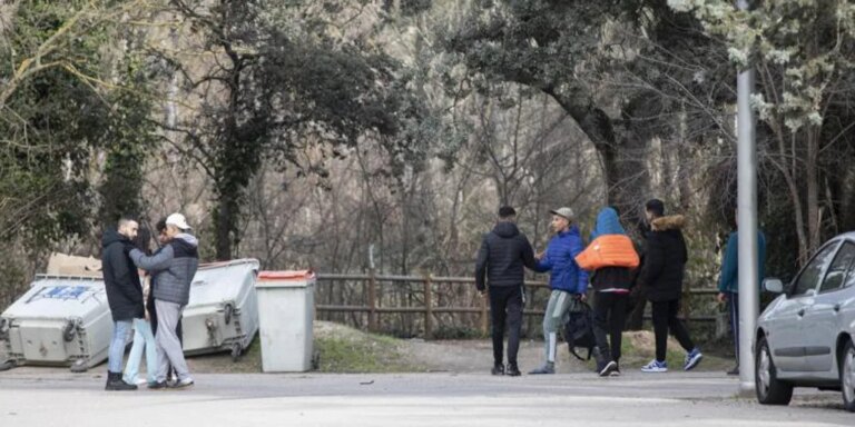 Un perro muerde a un mena que intentó robar el móvil a su dueña en Madrid
