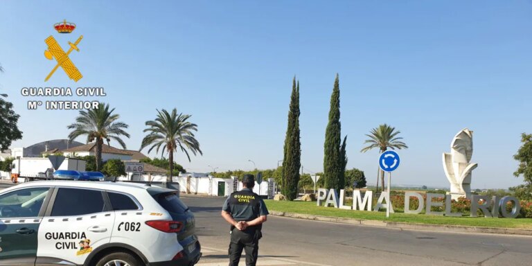 Dos detenidos por 16 robos en el interior de los coches tras romper el cristal de la ventanilla en Palma del Río