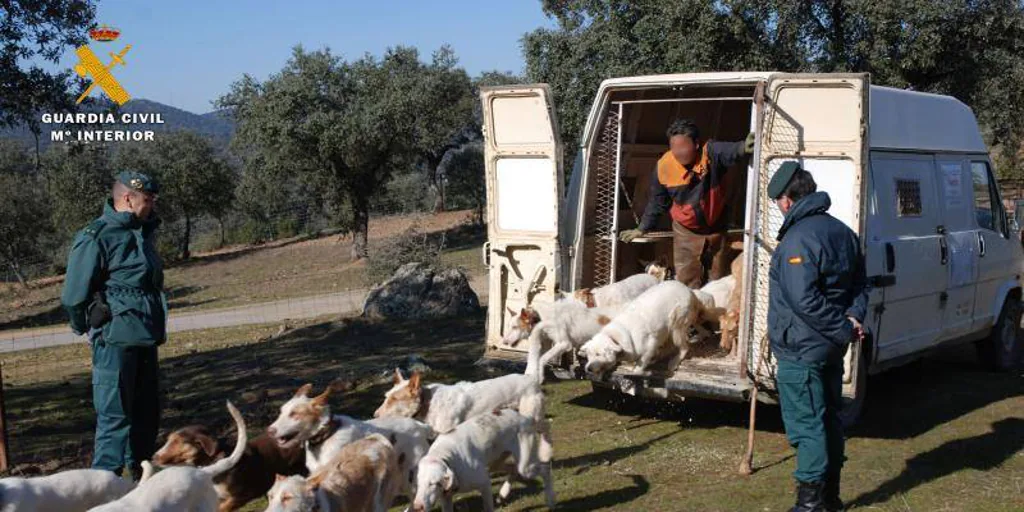 Interior admite que baraja la reestructuración de los equipos del Seprona en la provincia de Córdoba