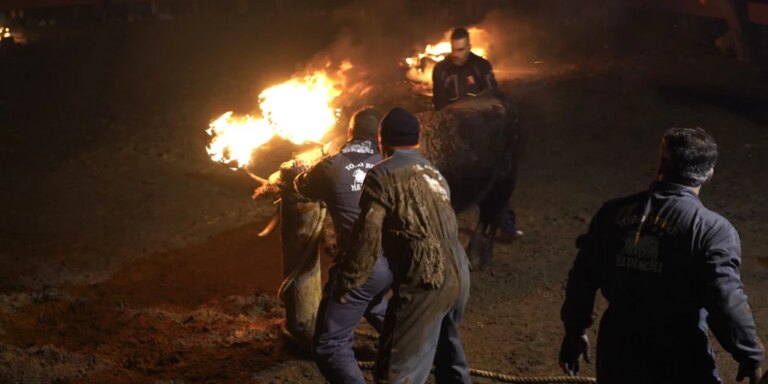 «Acabaron con el Toro de la Vega de Tordesillas y ahora van a por Medinaceli»