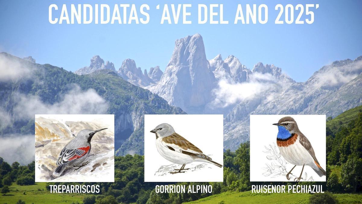 El Periódico2