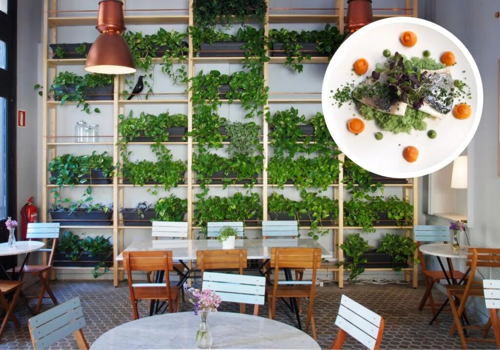 Este es el restaurante de Zaragoza con el menú mas barato: tres platos por tan solo 9,90€