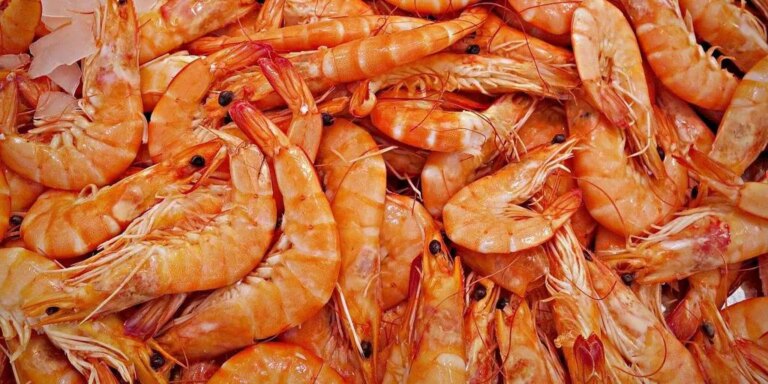 Un pescadero de Málaga explica cómo hay que congelar las gambas: «No debe estar en el congelador más de...»