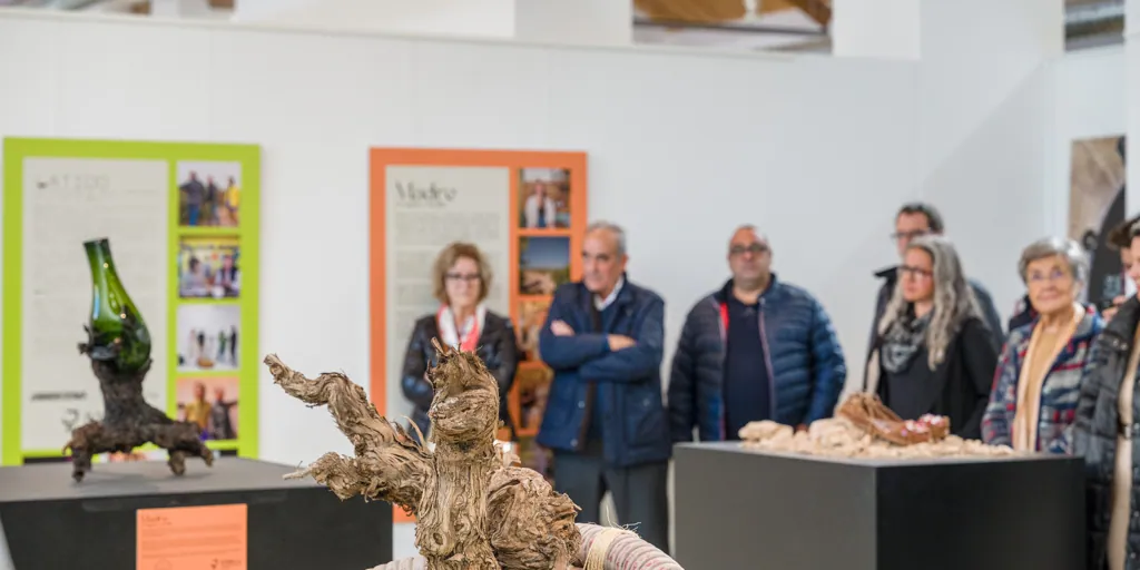 Se inaugura la exposición 'Jumilla. Diálogos de Arte & Vino' en el Museo del Vino de Jumilla