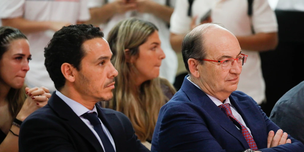 El consejo ve legal la presidencia de José Castro en la junta de accionistas