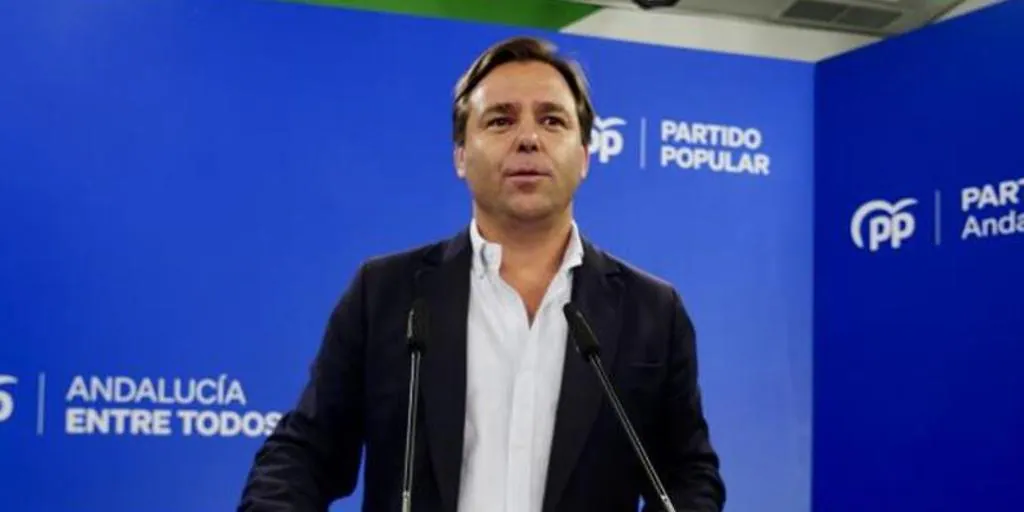 El PP de Andalucía, sobre los contratos del SAS: «El PSOE-A sabe perfectamente que no existe irregularidad»