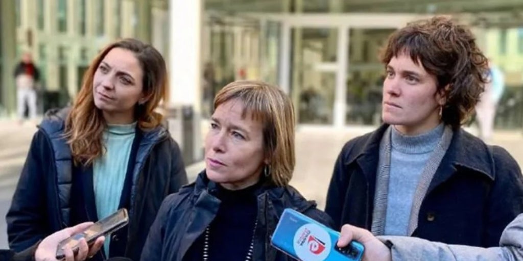 Irídia recurre ante el Constitucional el archivo de la querella contra el policía infiltrado
