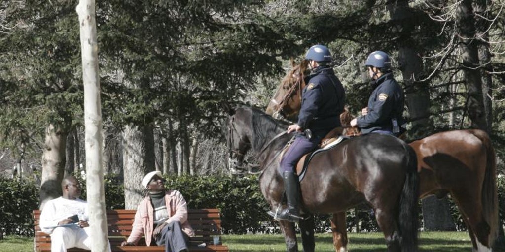 El PSOE  lleva al Pleno de Retiro una propuesta para poner 'pañales' a los caballos que patrullan el parque