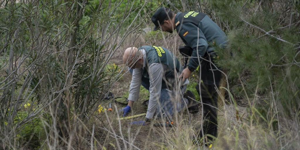 Un crimen planificado en un punto ciego: tratan de reconstruir las últimas horas del exalcalde de Gandía