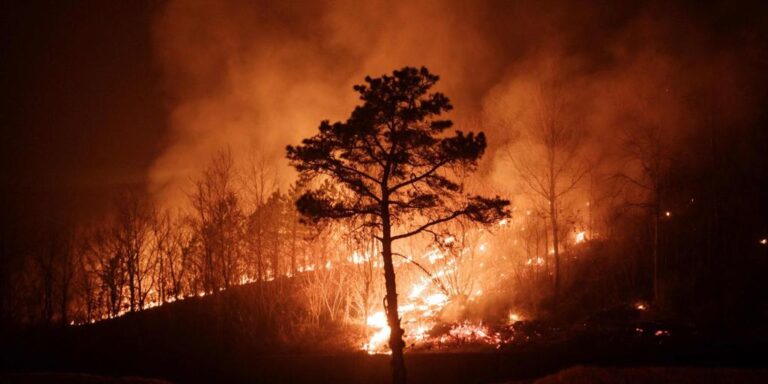Al menos 24 muertos y 27.000 evacuados en los «peores incendios de la historia» de Corea del Sur
