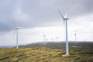 Moeve y ENSO impulsan soluciones renovables para descarbonizar la industria
