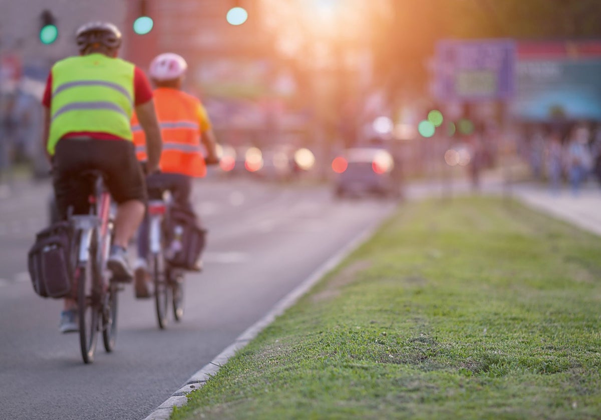 Peatones y motoristas concentran la mayor mortalidad vial en las ciudades