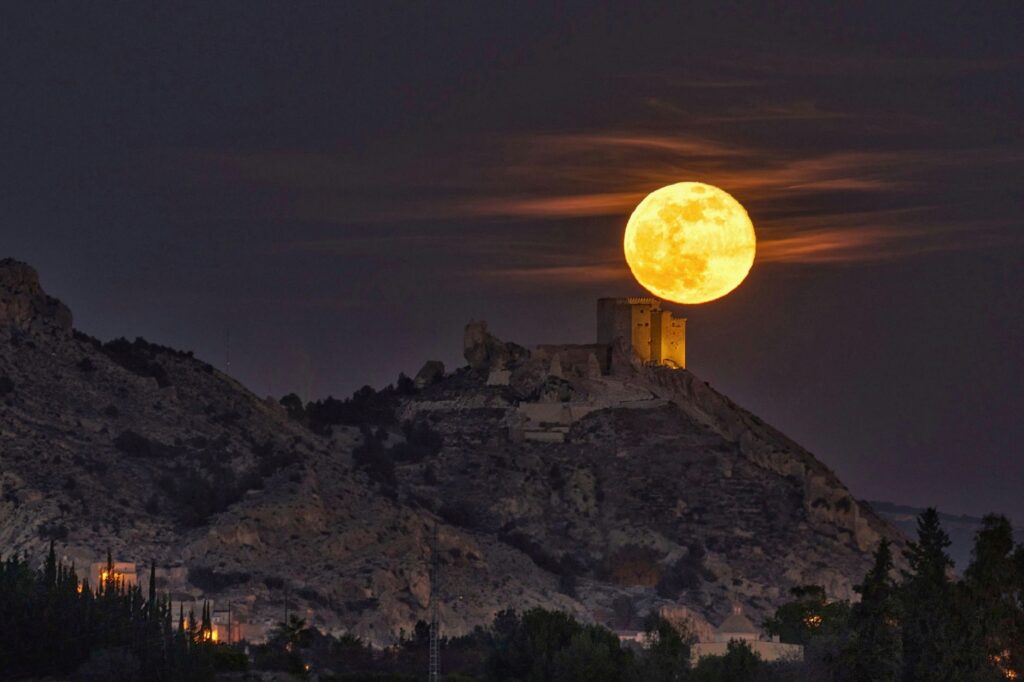 Terra Natura Murcia prepara tres experiencias de Halloween con actividades, recorrido nocturno y cena de misterio